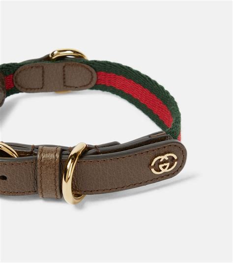 gucci collar polo|authentic gucci dog collar.